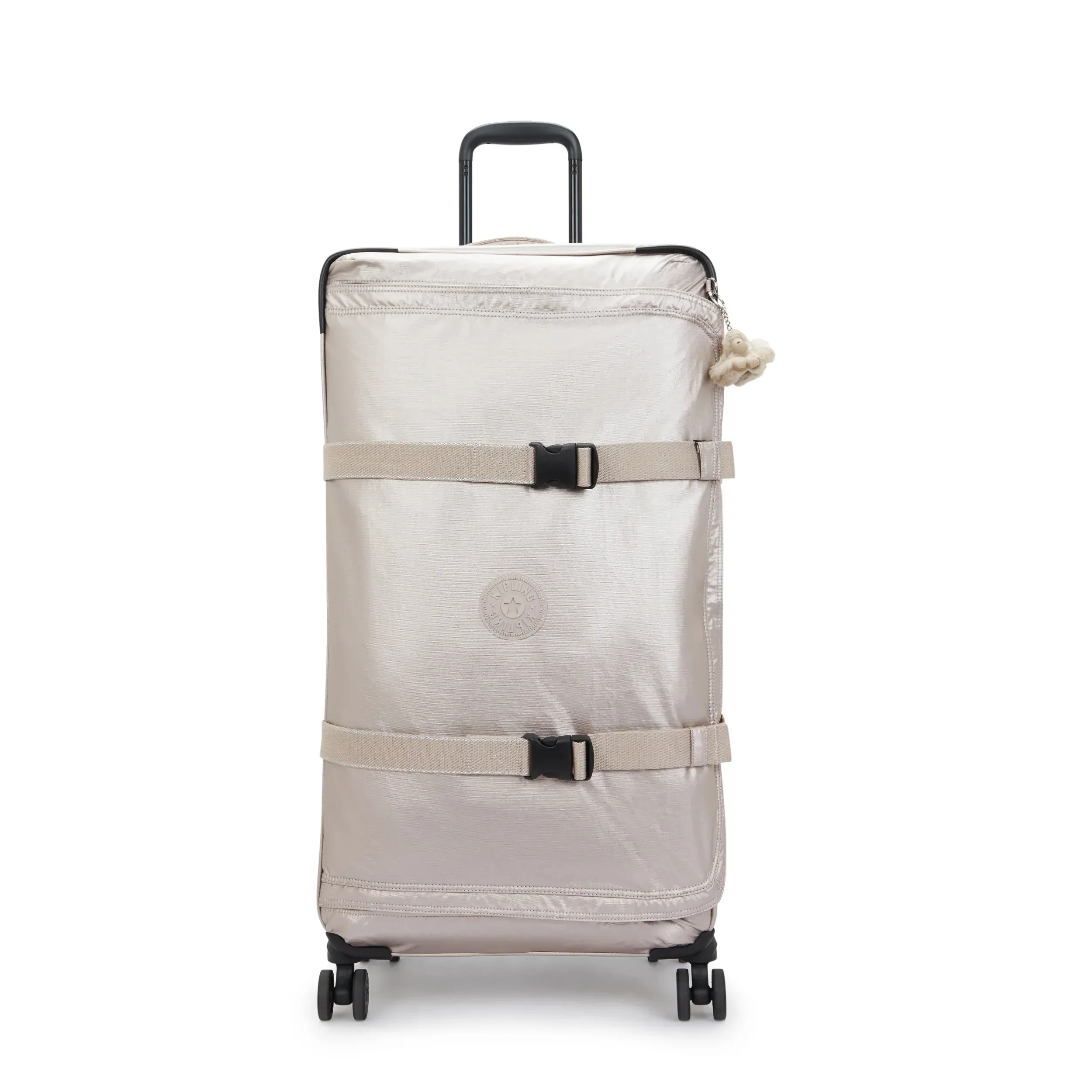 Spontan stor metallisk bagage